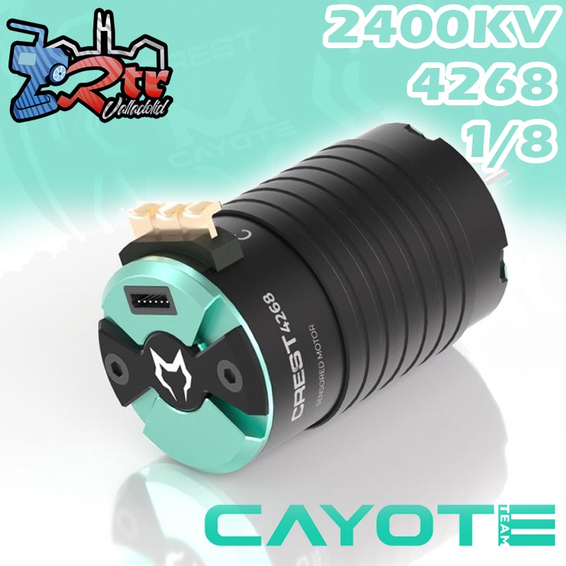 Motor Brushless CAYOTE Racing 1/8 CREST 4268 2400KV