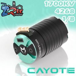 Motor Brushless CAYOTE Racing 1/8 CREST 4268 1700KV