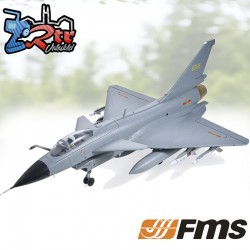 Avion FMS EDF J-10 Gri Con Reflex V3 Gris PNP