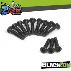 Pan Head Tapping Screws BBHO2.6*12mm (12pcs)