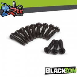 Pan Head Tapping Screws BBHO3*15mm (12pcs)