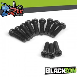 Pan Head Tapping Screws BBHO2.5*10mm (12pcs)