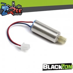 Motor w- Pinion