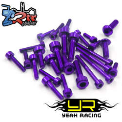 Juego de tornillos de aluminio ligeros T10PX Purpura