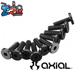 Hex Socket Oversize Head 3x10mm (10)