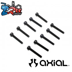 M2 x 14mm Cap Head Screws (10)