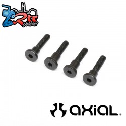 Hinge Screw  Truggy Cage  SCX6 Honcho
