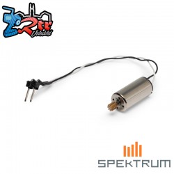 Brushed Motor 8.5mm