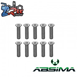 Flat Head Hex Screw M3*14 (10)