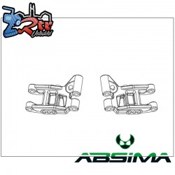 Rear Lower Arm