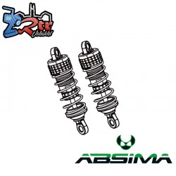 Rear Shock Absorber (2)