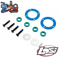 Losi Gear Diff Rebuild Set: 22S