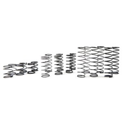 Conjunto de muelles DDL Desert Lizard de 100 mm DDL-002