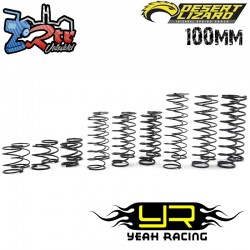 Conjunto de muelles DDL Desert Lizard de 100 mm DDL-002