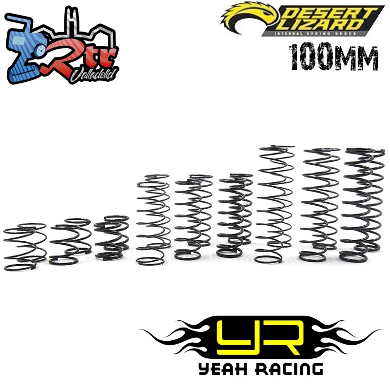 Conjunto de muelles DDL Desert Lizard de 100 mm DDL-002