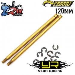 Vástago de amortiguador Desert Lizard DDL de 120 mm DDL-008