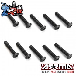 Tornillo de cabeza abotonada de 3x16mm 10 Unidades AR721316