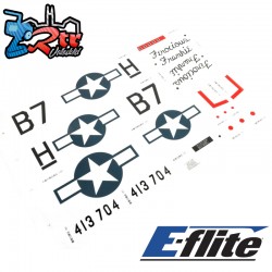 Decal Sheet: P-51 1.0m
