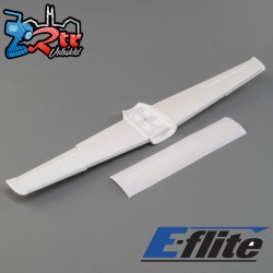Painted Wing: UMX SR22T