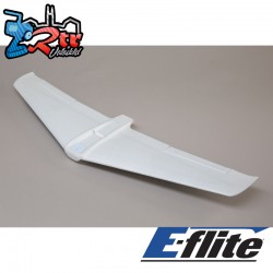 Painted Wing: V900  900mm