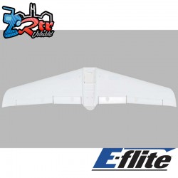 Painted Wing V1200
