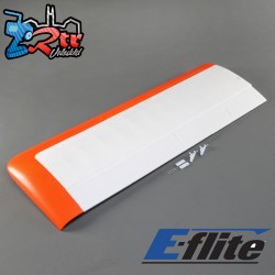 Wing Left: Carbon-Z Cub SS 2m
