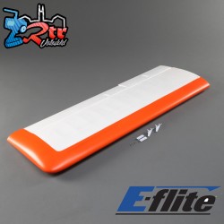 Wing Right: Carbon-Z Cub SS 2m