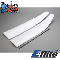 Wing with Spar: Radian BNF Basic