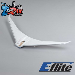 E-flite Wing: Micro Boeing 787 Dreamliner Twin 30mm EDF
