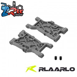 Lower Suspension Arm For RZ001