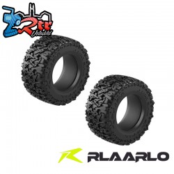 Tyre & Foam Set For RZ001