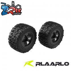 Assembled Wheel Set For RZ001