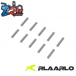 Pin(2*10) For RZ001 and XTS Rally Cars