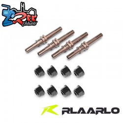 S2 Alloy Steel Front & Rear Shock Stand For RZ001