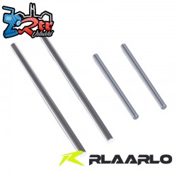Steel Pins for Lower Suspension Arm For XTS-S10 RC Rally Car