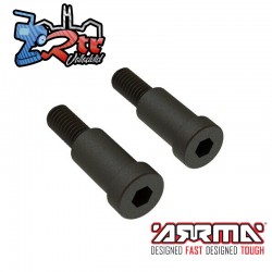 Tornillos de Paso 6X22mm ARA340160