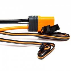Variador Spektrum Avian 100 Amp Brushless Smart ESC 3S-6S IC5