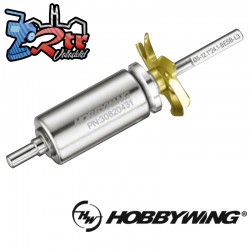 Hobbywing Option Rotor D10 L3-5.0-12.1*24.1-BES