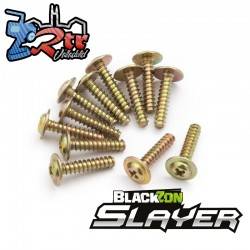 Tornillos autorroscantes de cabeza de brida PWTHO 2.6x12mm Blackzon Slayer 540057