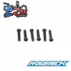 Tornillo cabeza redonda 2x10mm 6 piezas MV150042