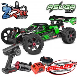 Buggy Team Corally ASUGA XLR 6S RTR Verde Brushless 6S