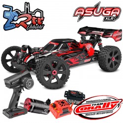 Buggy Team Corally ASUGA XLR 6S RTR Rojo Brushless 6S
