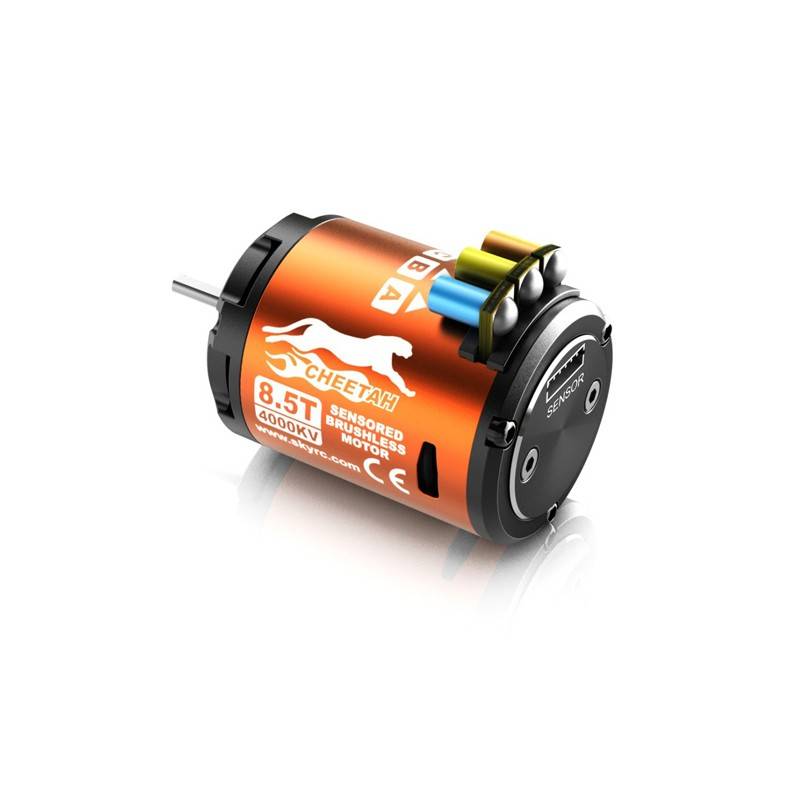Combo Brushless SkyRC Cheetah 1/10 Toro 60A con sensores 13.5 Turn