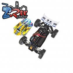 Buggy Reflex 14B Gamma Team Asociated Brushless 4WD 1/14 RTR Ongaro Edition
