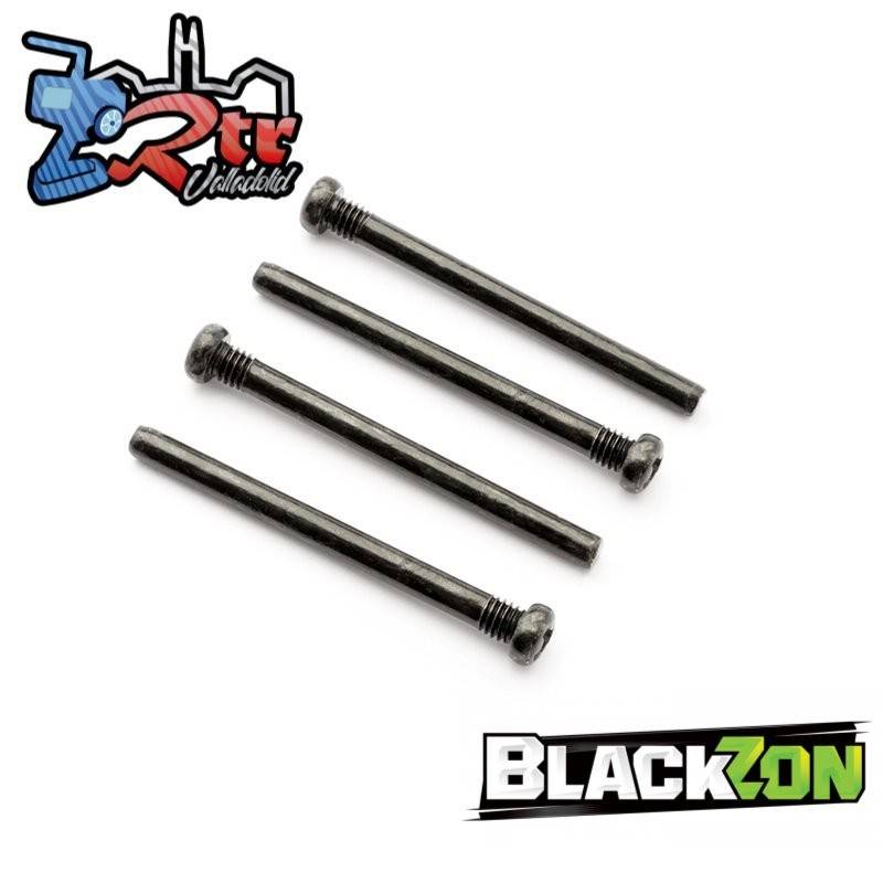 Eje De Tornillo 3x31mm 534758
